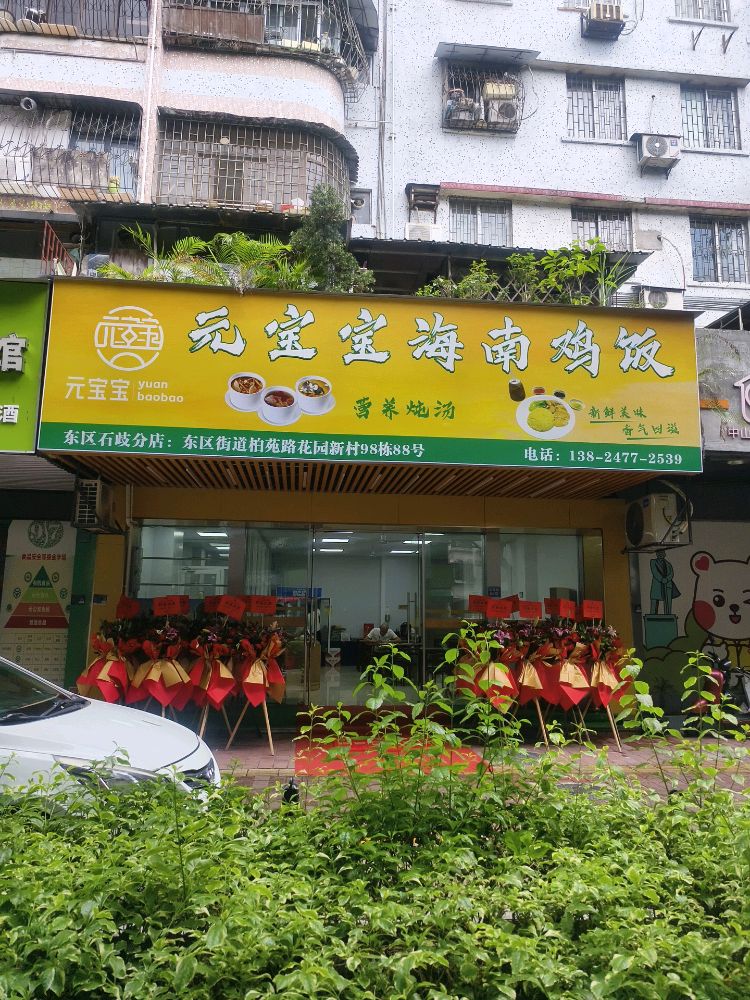 元宝宝海南鸡饭