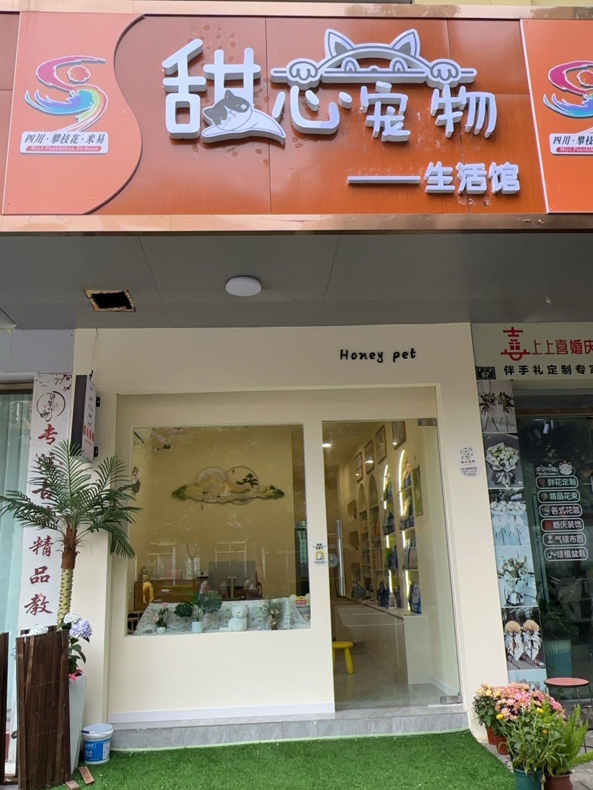 甜心宠物生活馆
