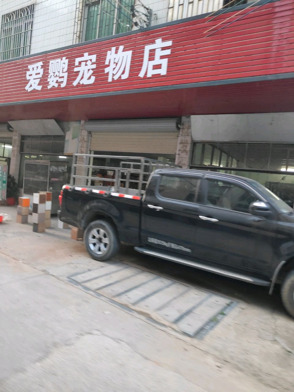 爱鹦宠物店