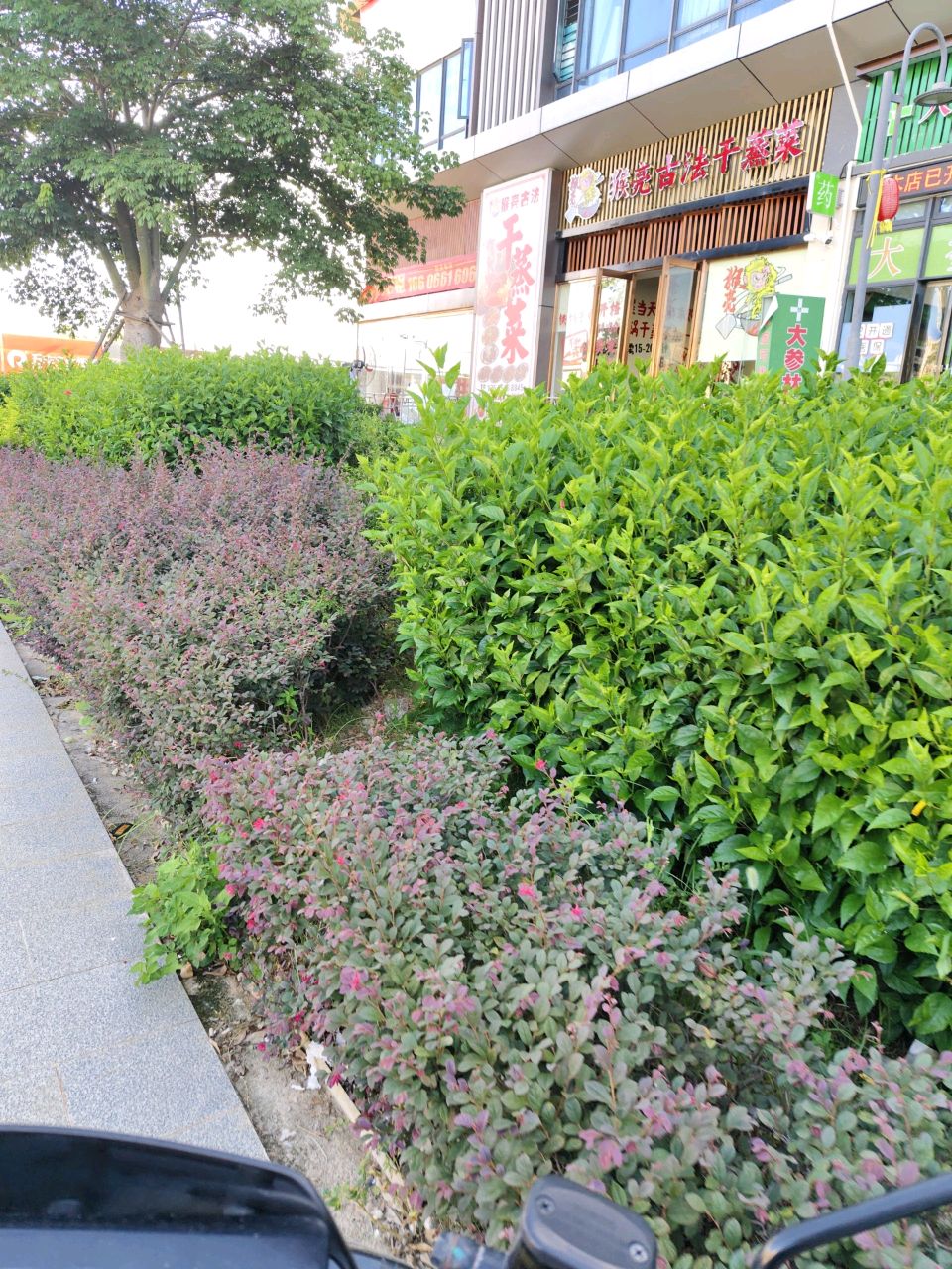 猴亮古法干蒸菜