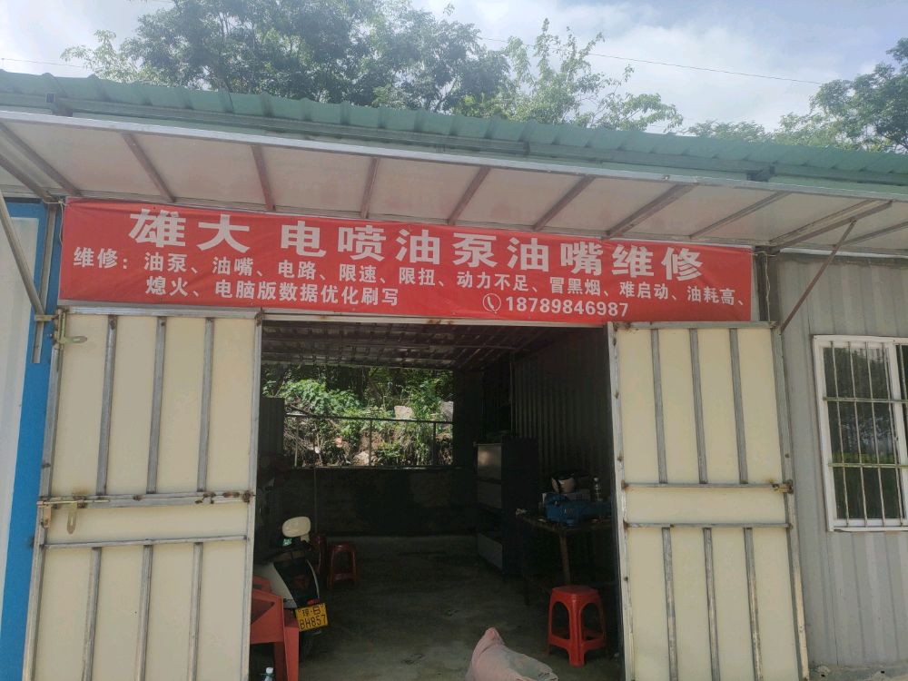 雄大电喷油泵油嘴维修