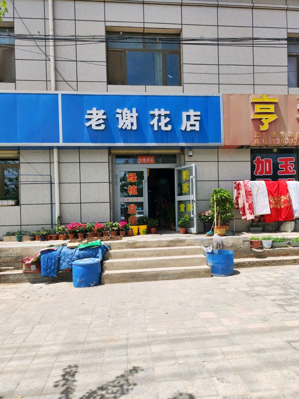 老谢花店