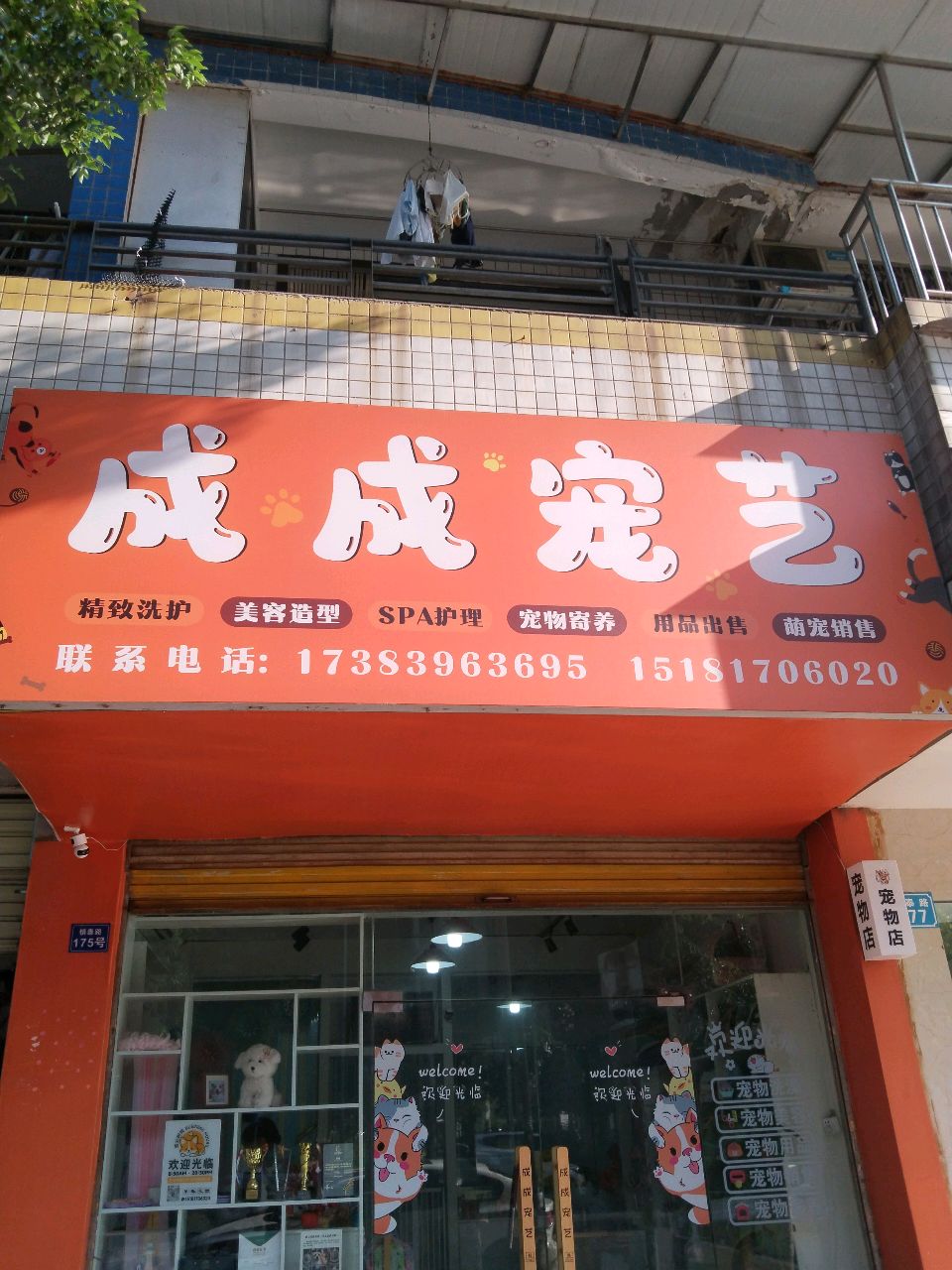 成成宠艺(玉带明珠店)