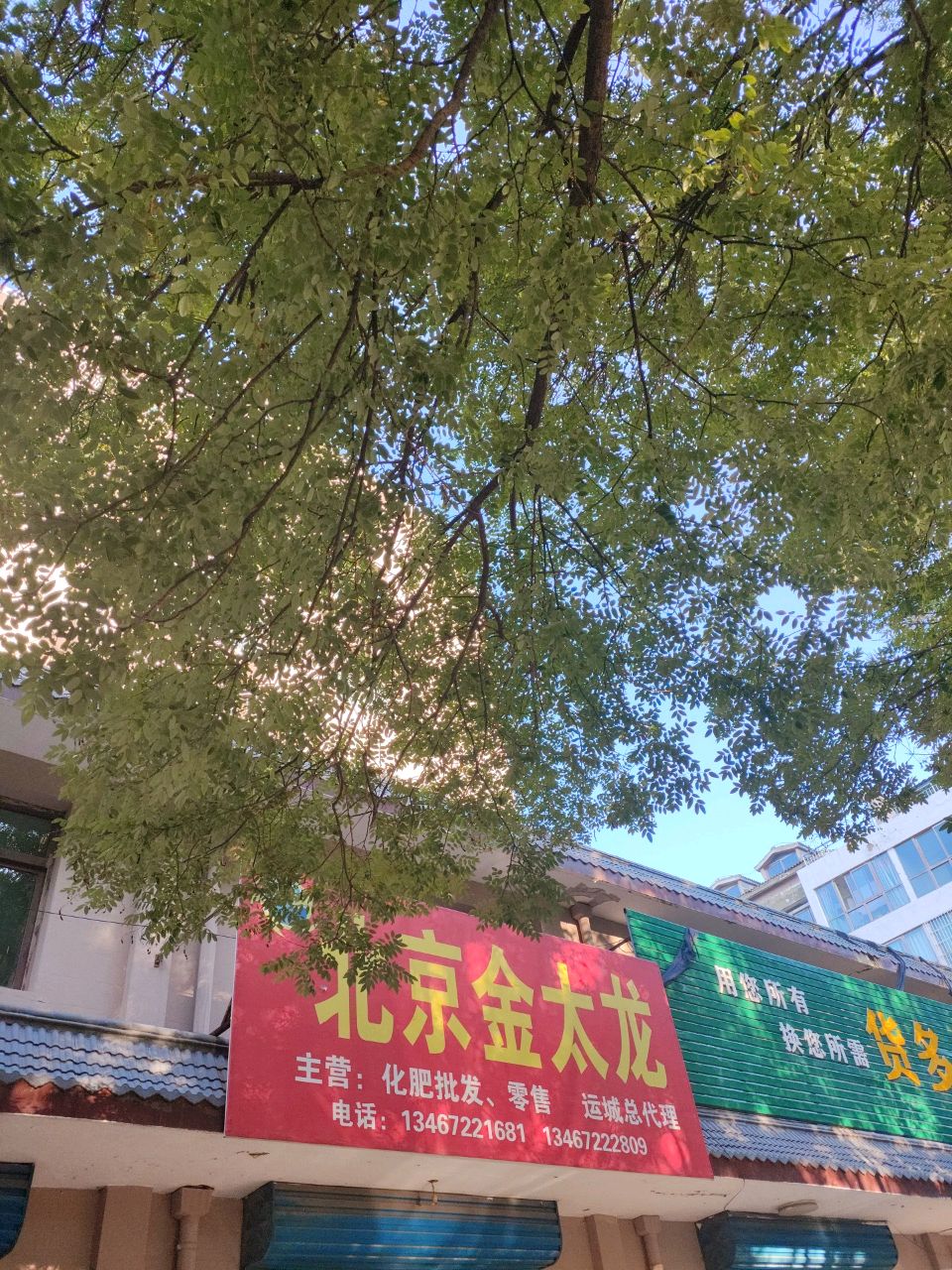 北京金太龙(运城总代理)