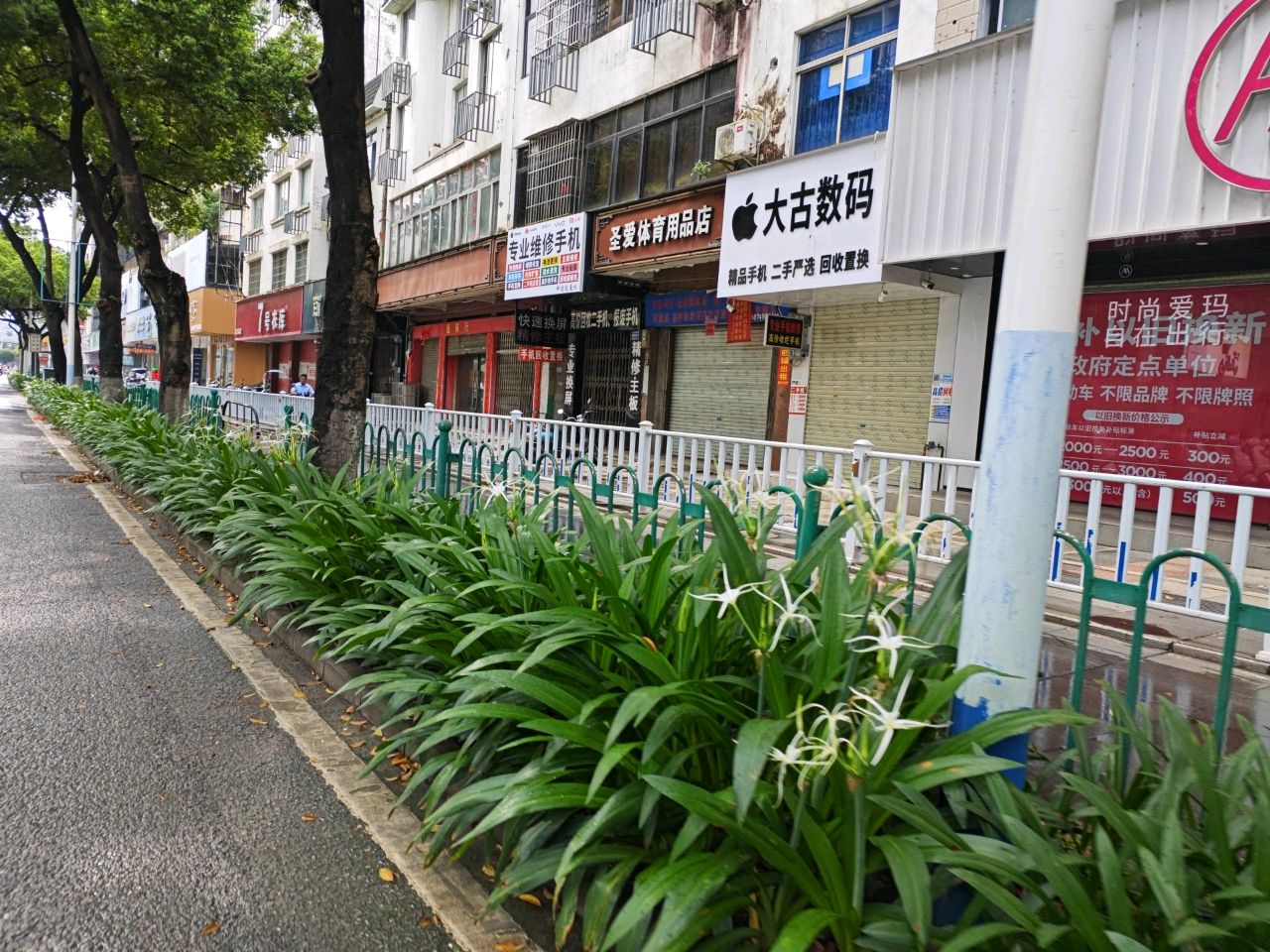 大古数码