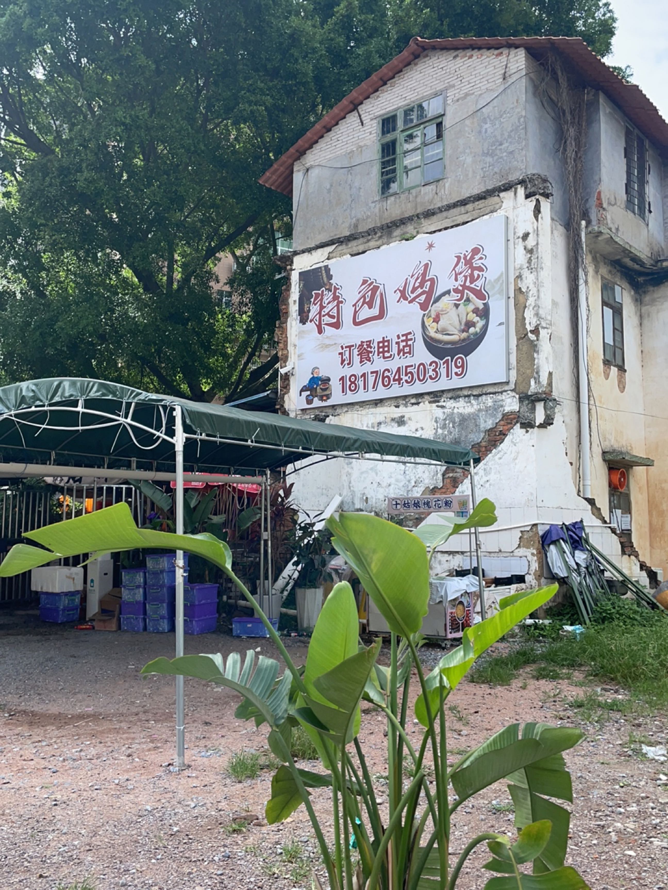 特色鸡煲