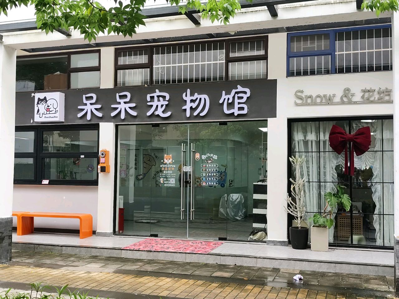 呆呆宠物馆