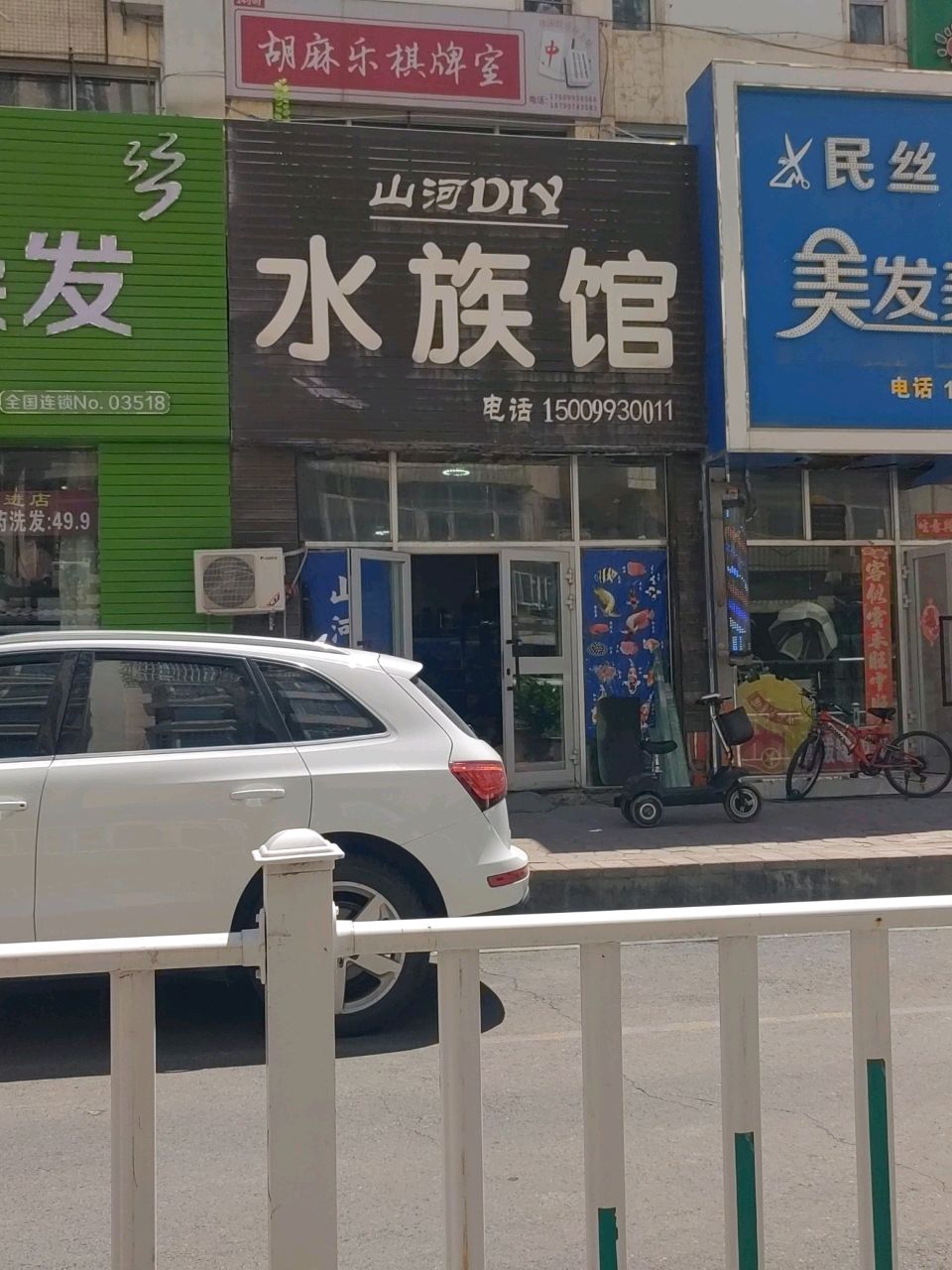 山河DIY水族馆(石河子新世纪步行街店)