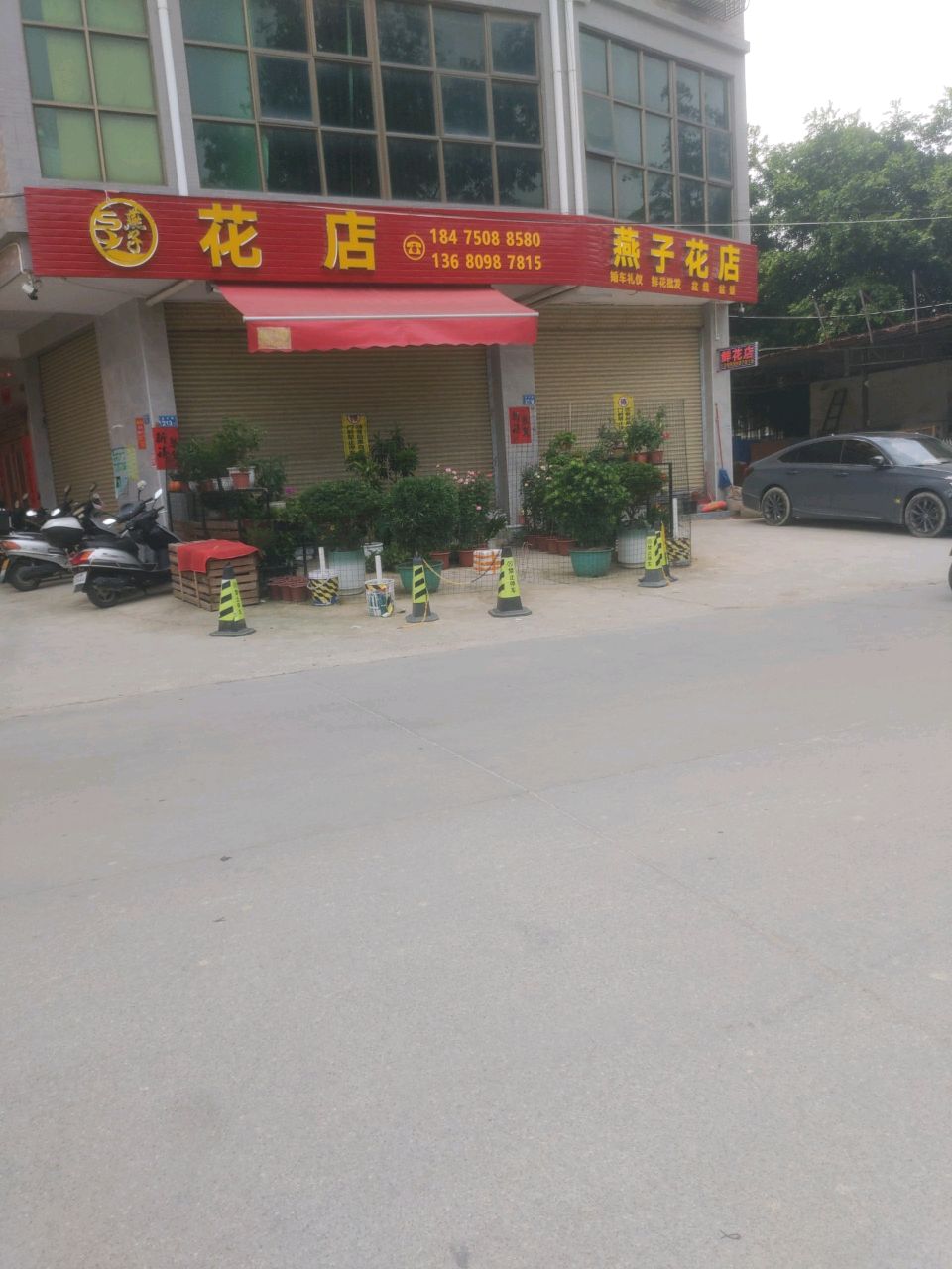 燕子花店