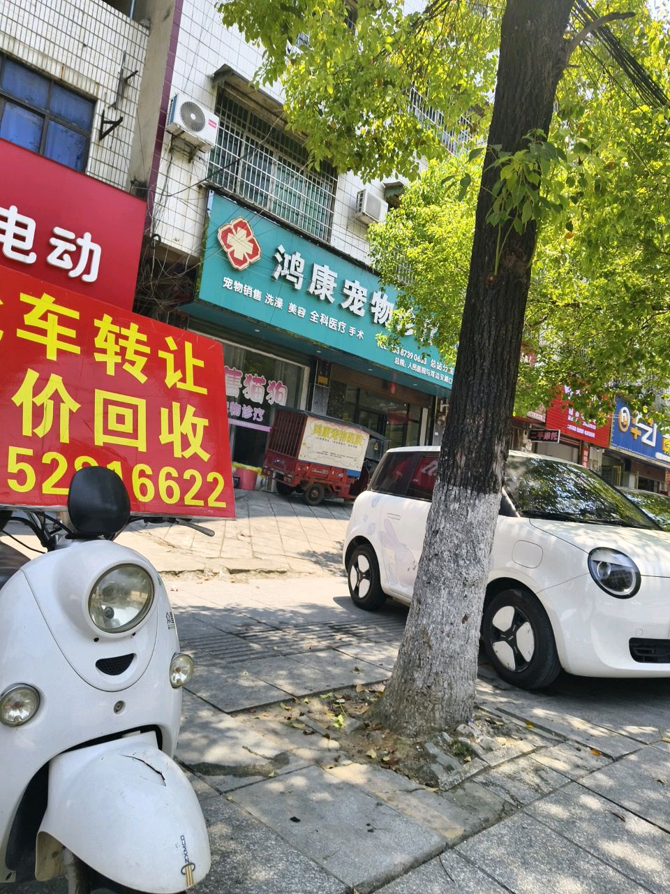 鸿康宠物诊疗