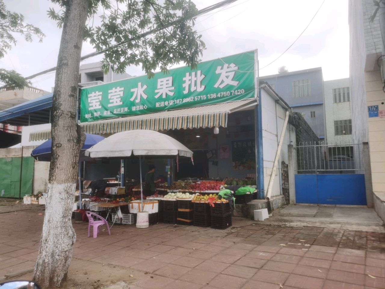 莹莹水果批发
