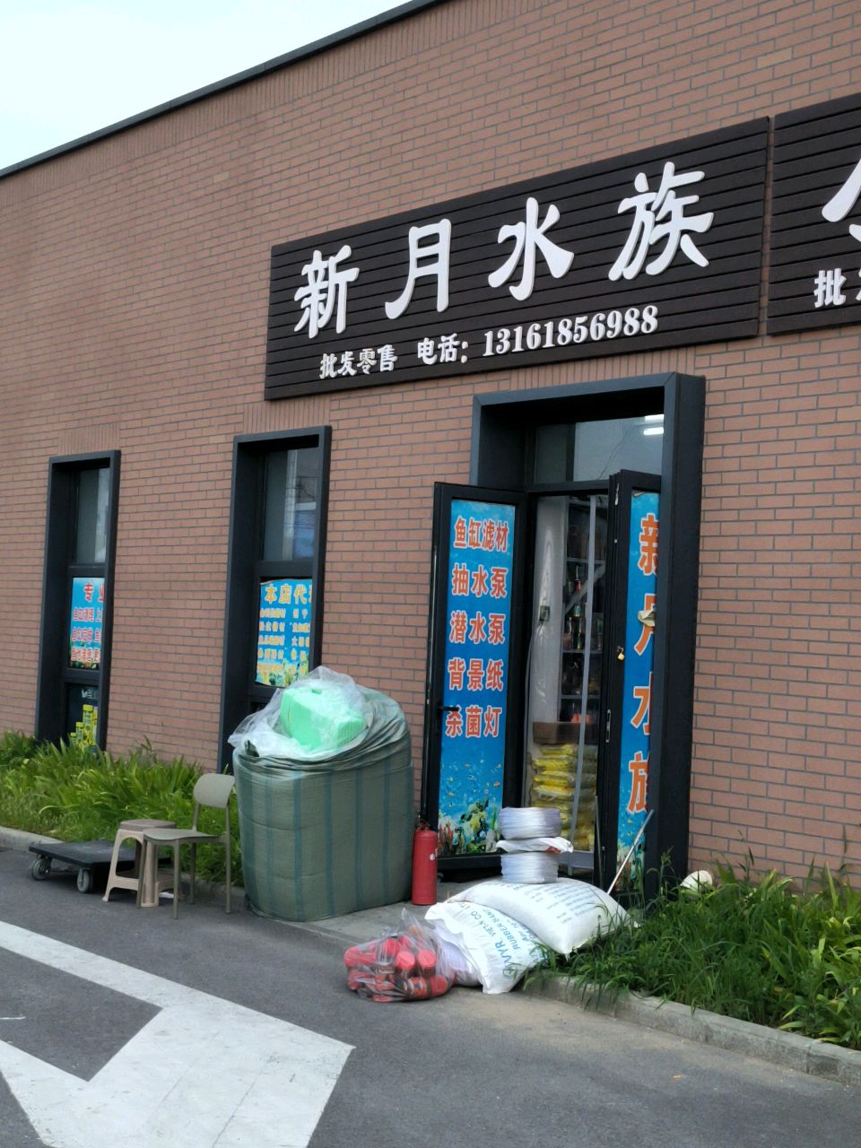 新月水族