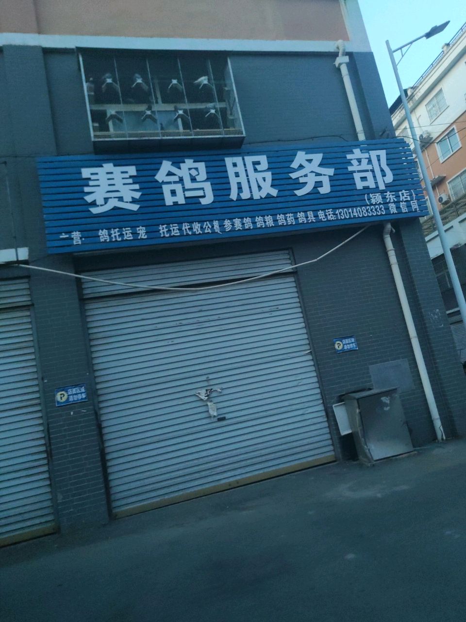 赛鸽服务部