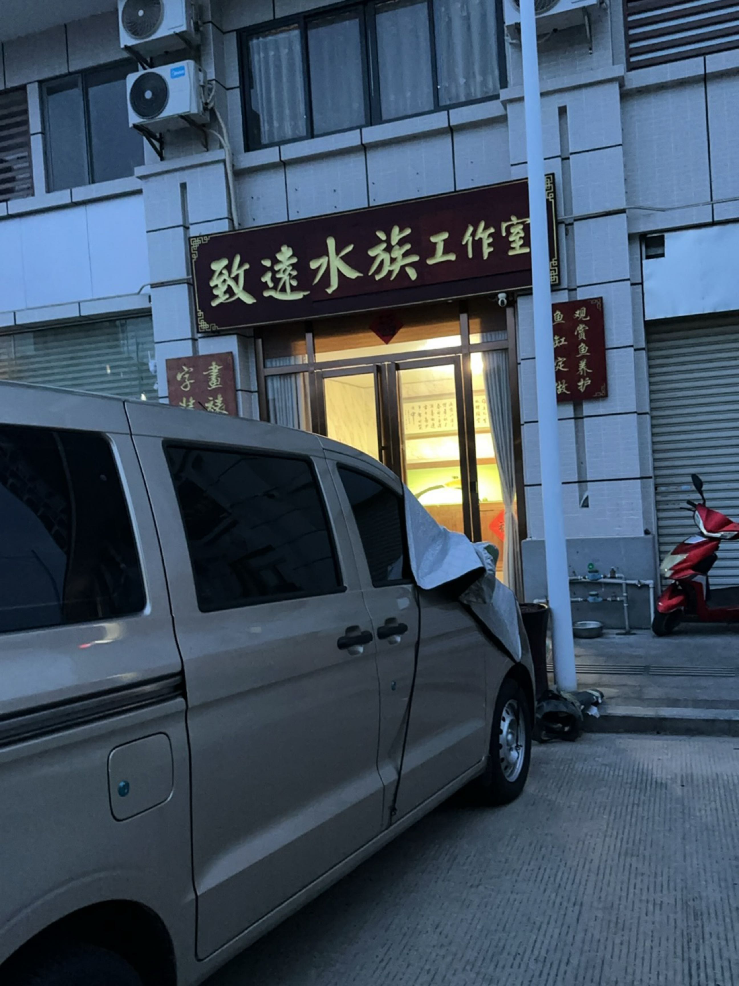 致远水族工作室