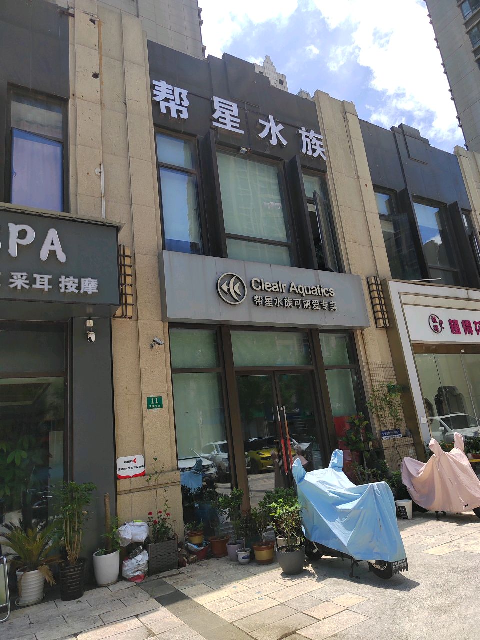 帮星水族