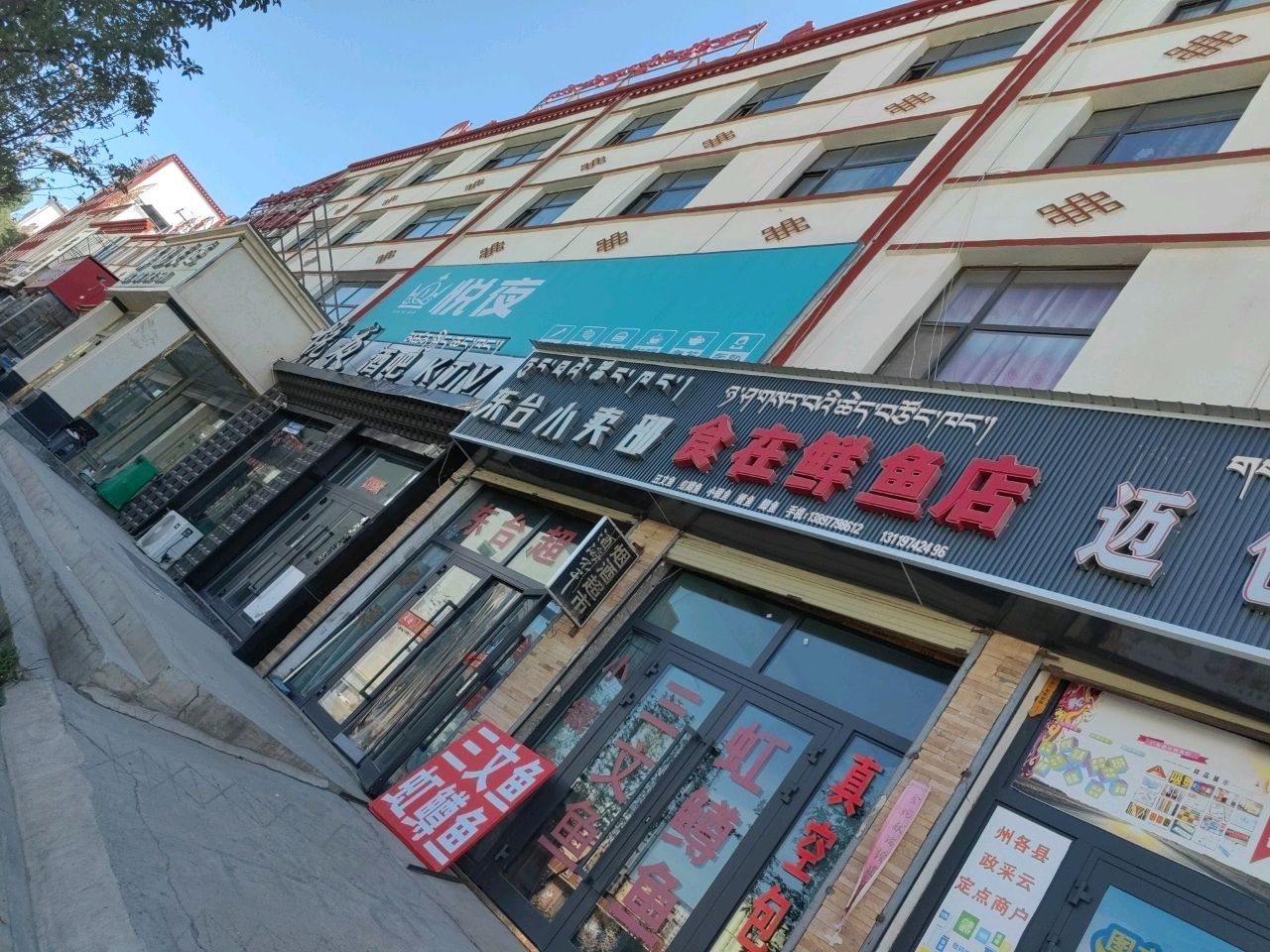 食在鲜鱼店