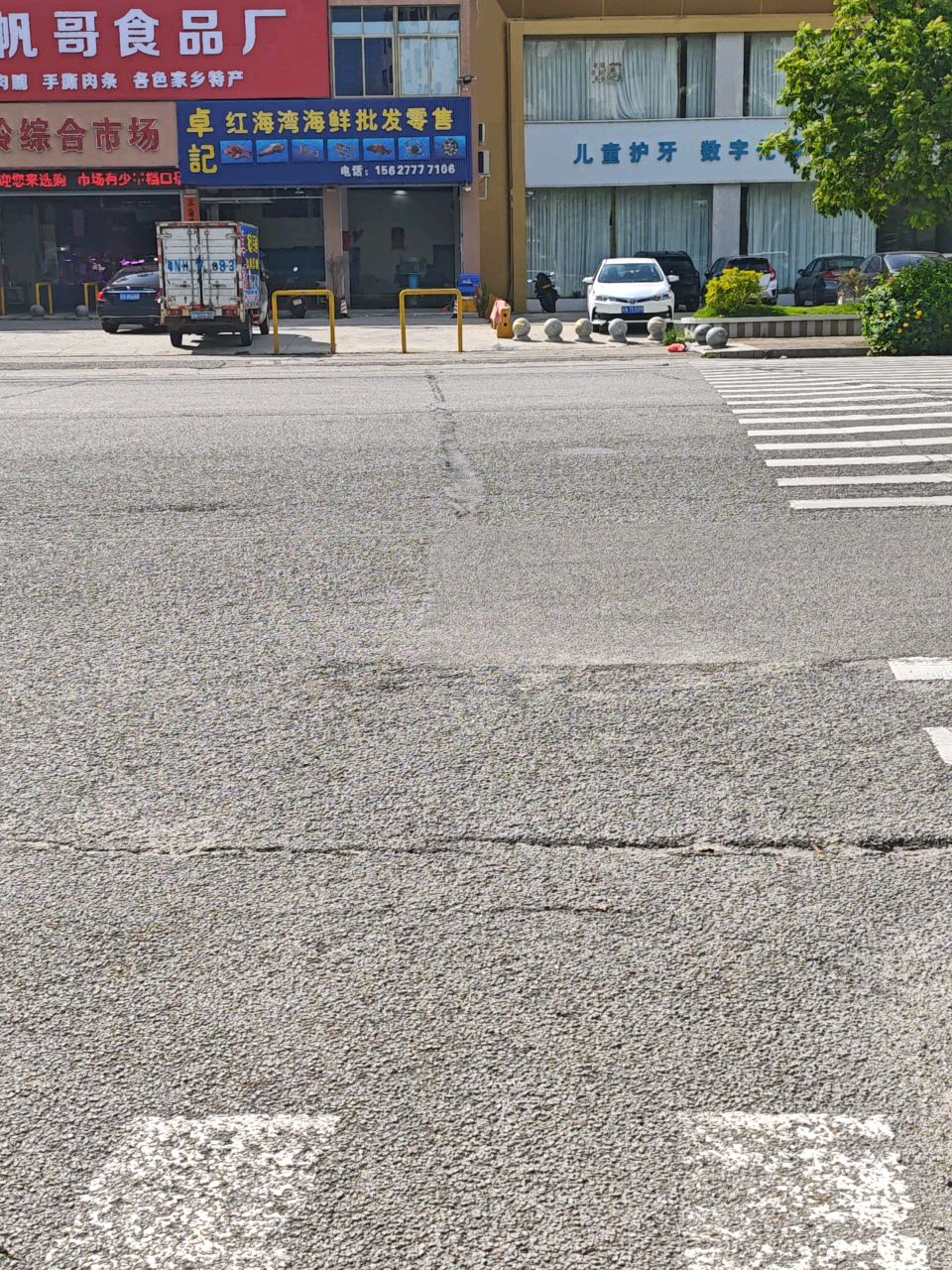 卓纪红海湾海鲜批发零售