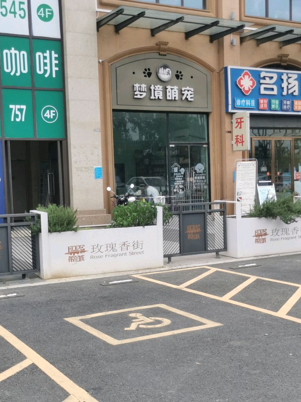 梦境萌宠