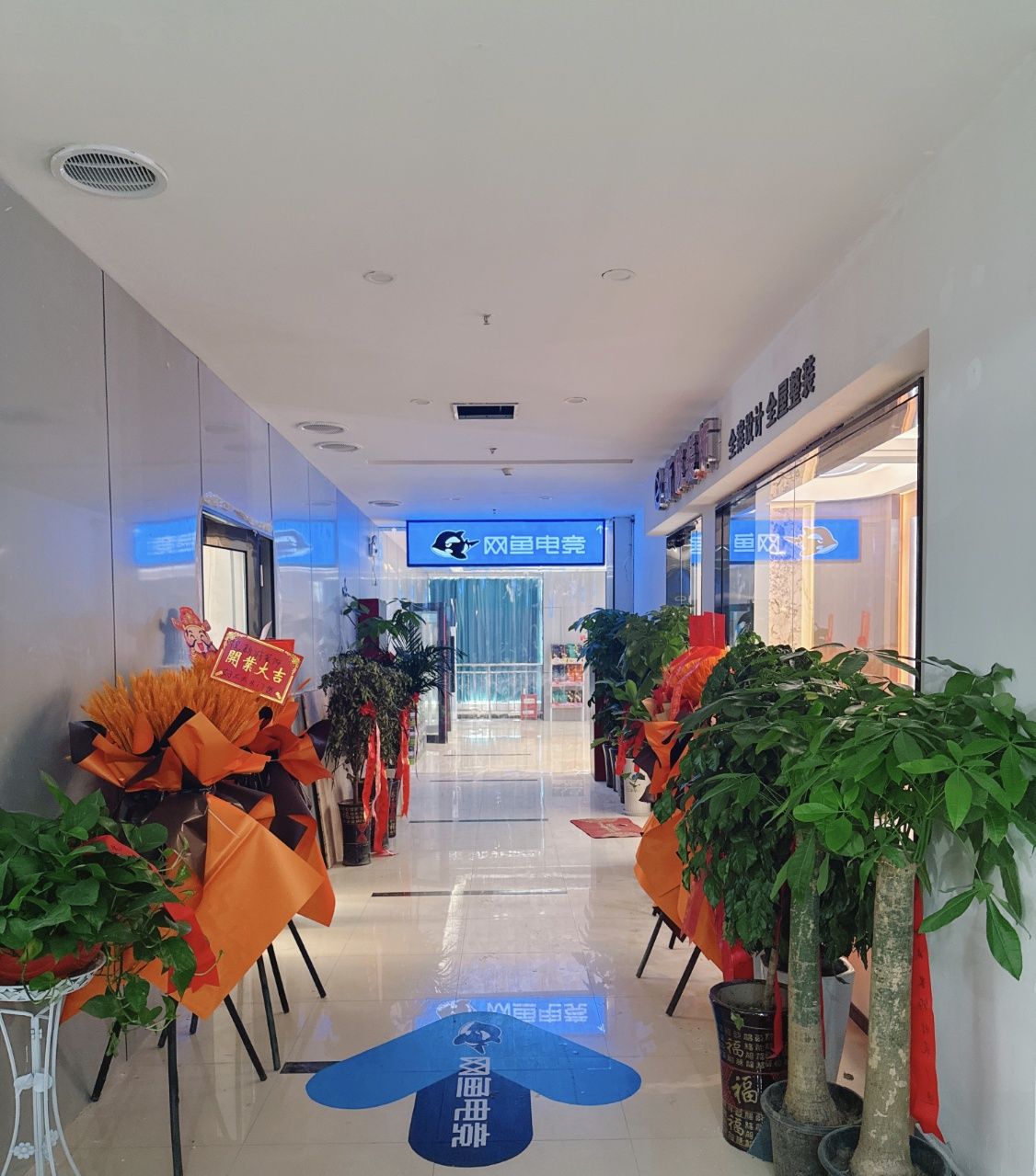 网鱼网咖•电竞(芜湖鸠江新里城店)