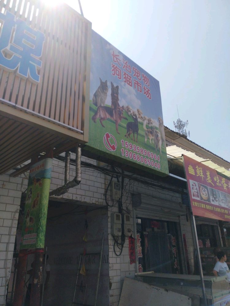 长治宠物狗猫市场