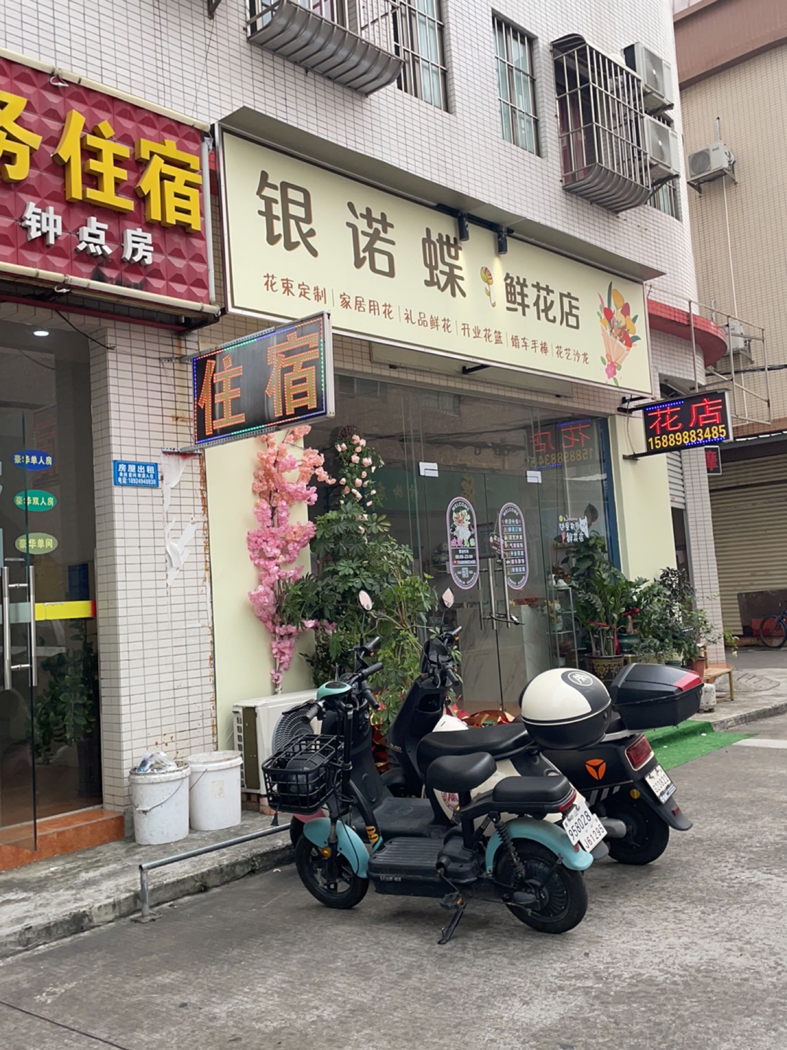 银诺蝶花店