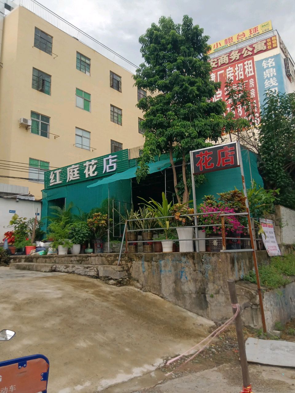 红庭花店