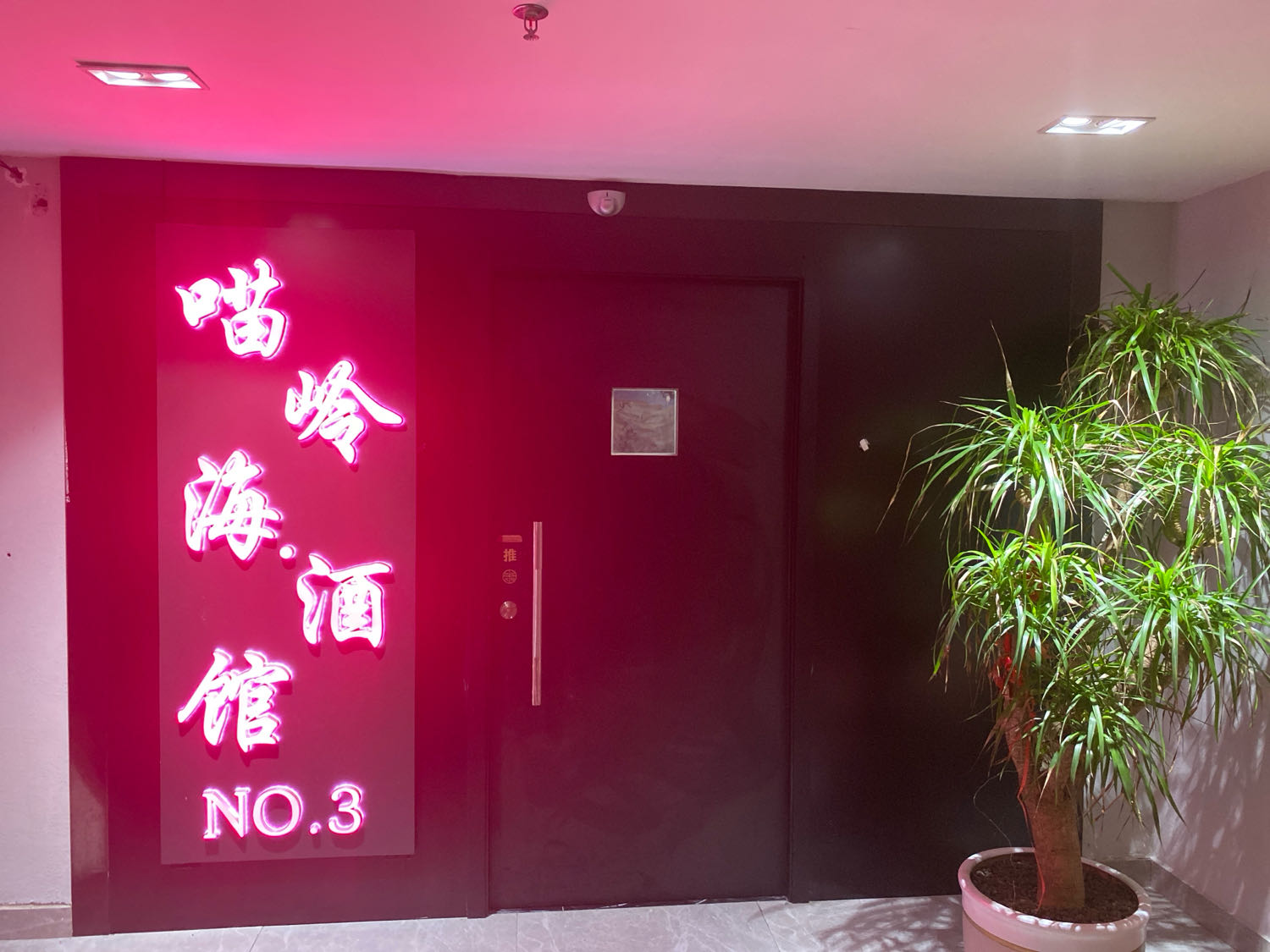 喵岭海·酒馆NO.3(文邦店)