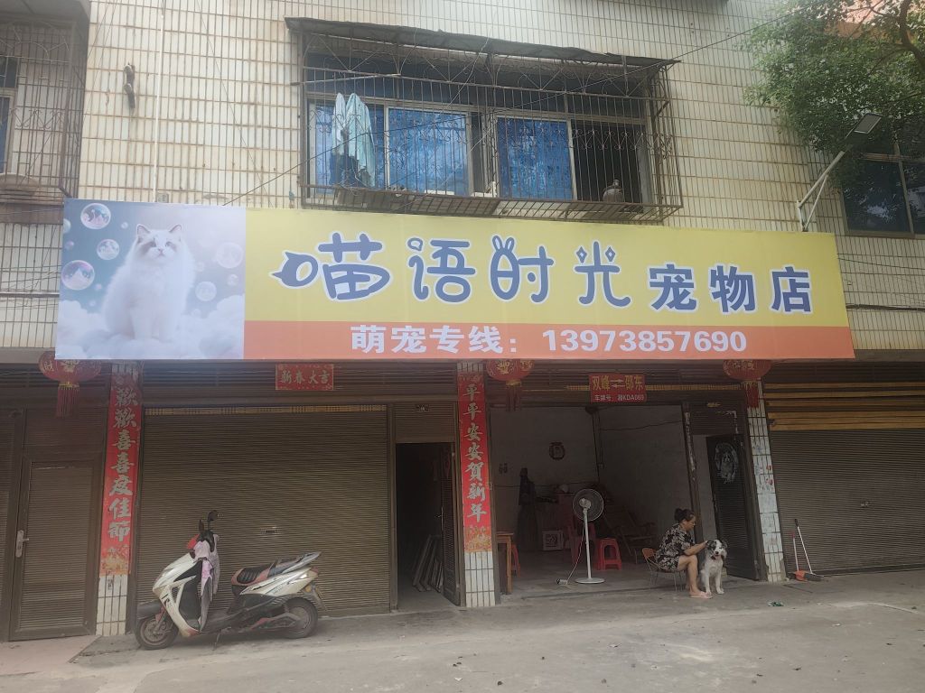喵语时光宠物店