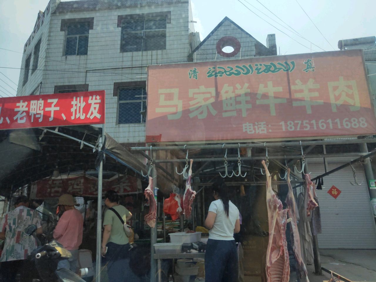 清真马家鲜牛羊肉