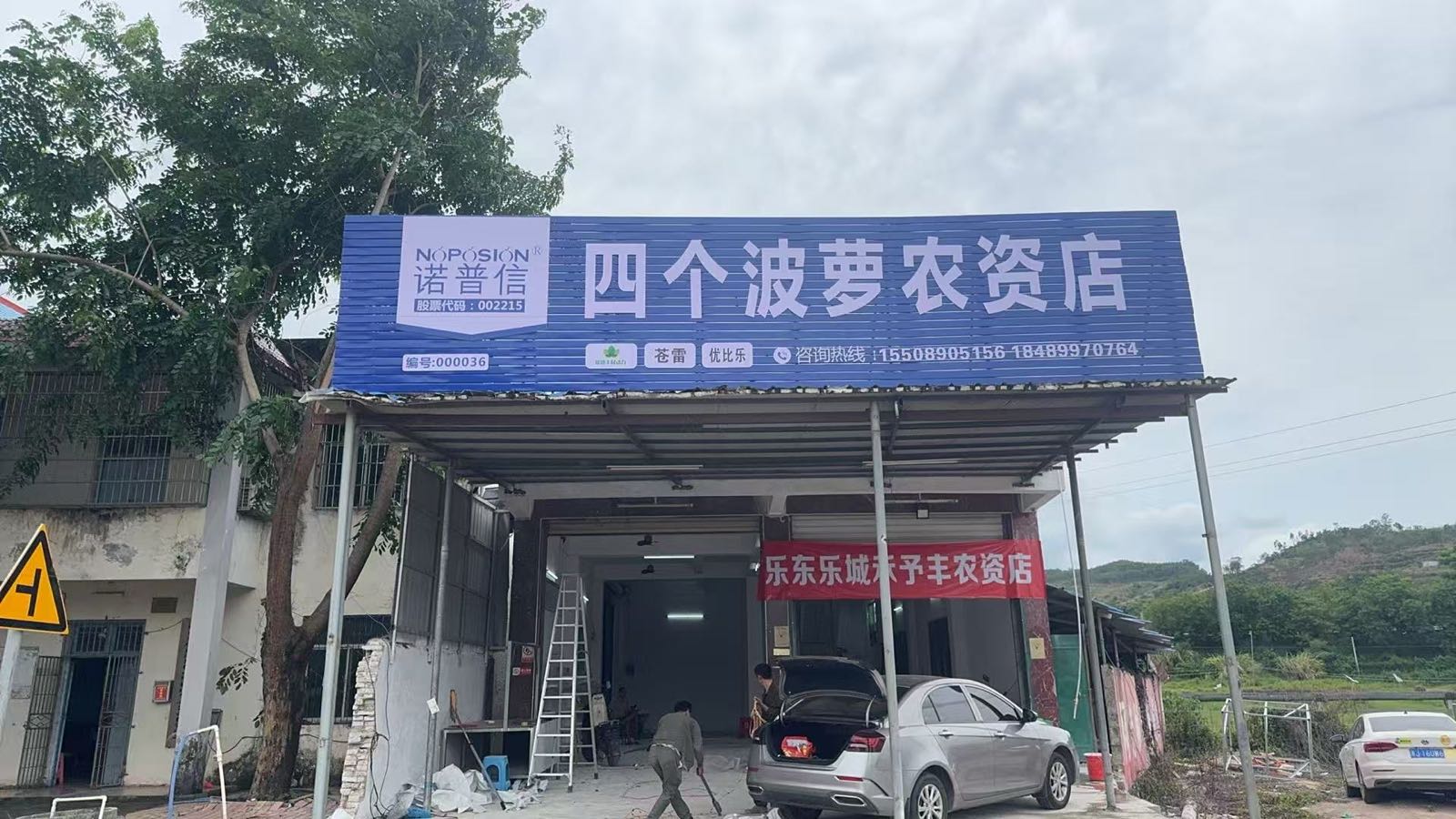 乐东四个菠萝农资店(山荣分店)