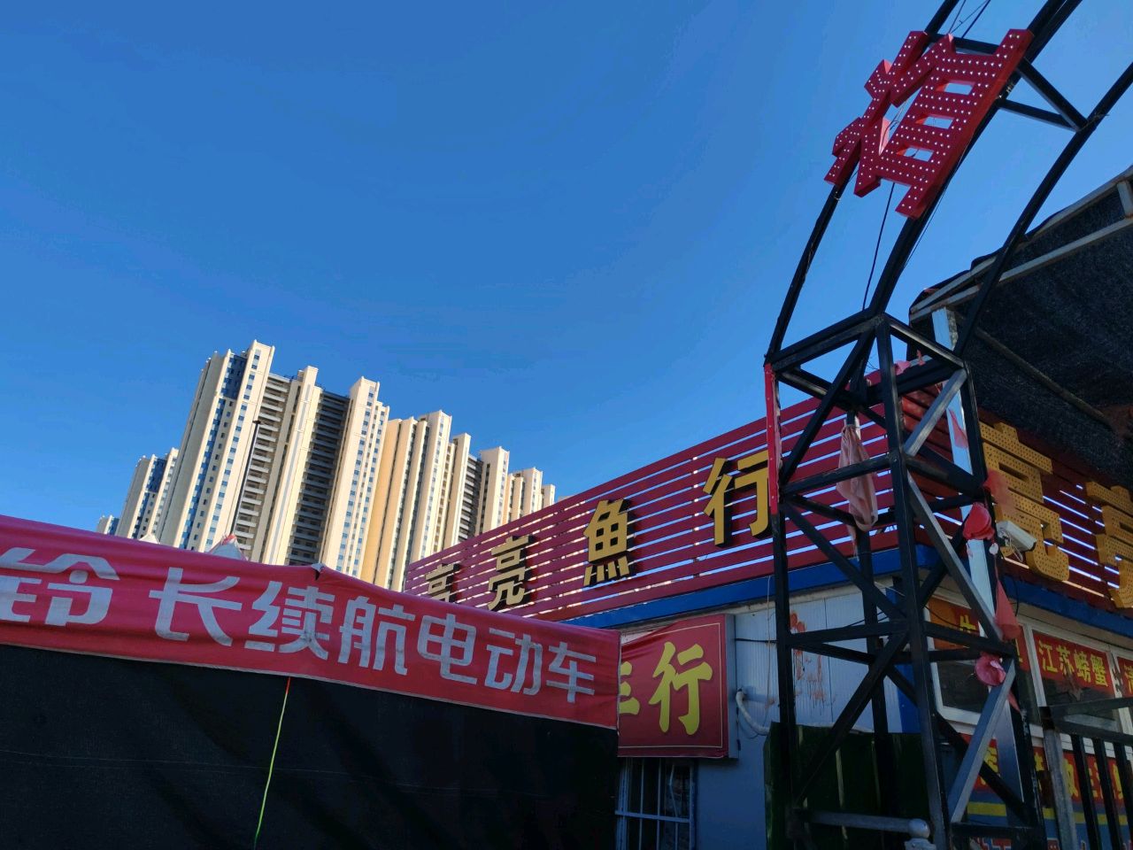 亮亮鱼行