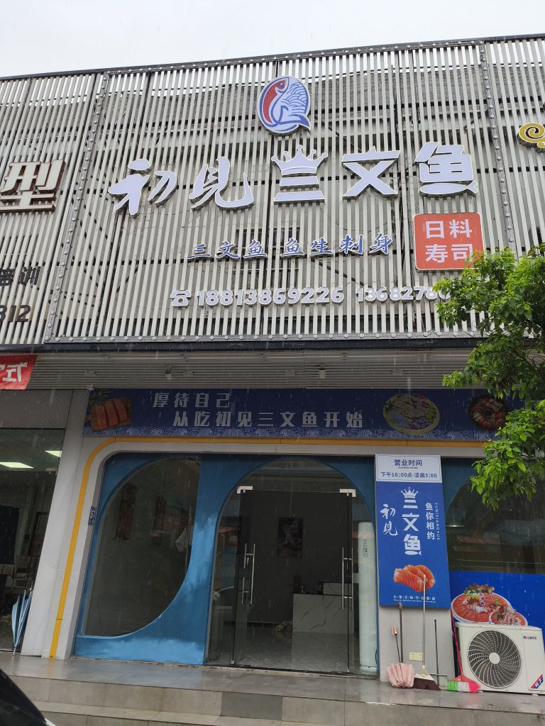 初见三文鱼