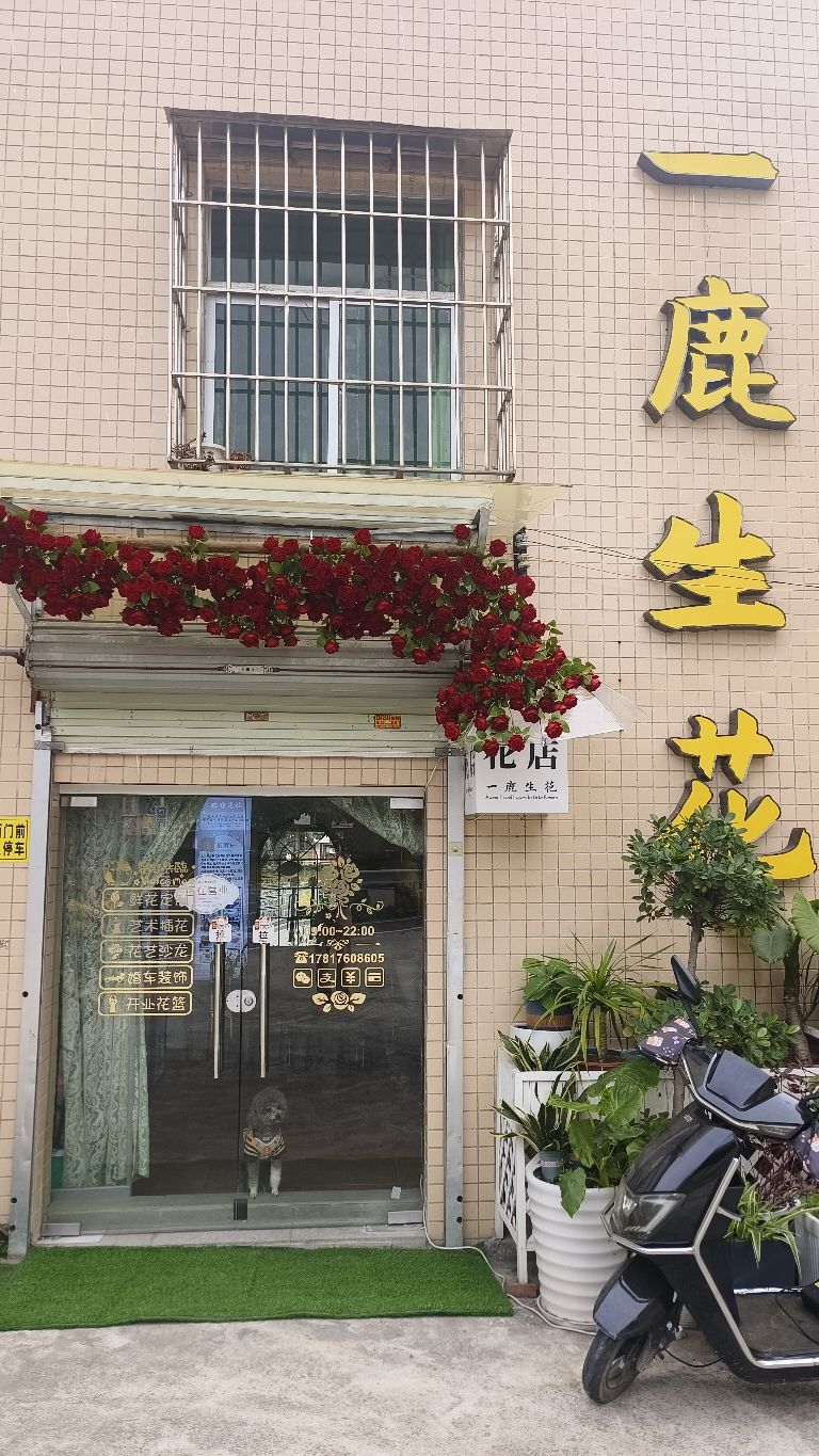 一鹿生花鲜花店
