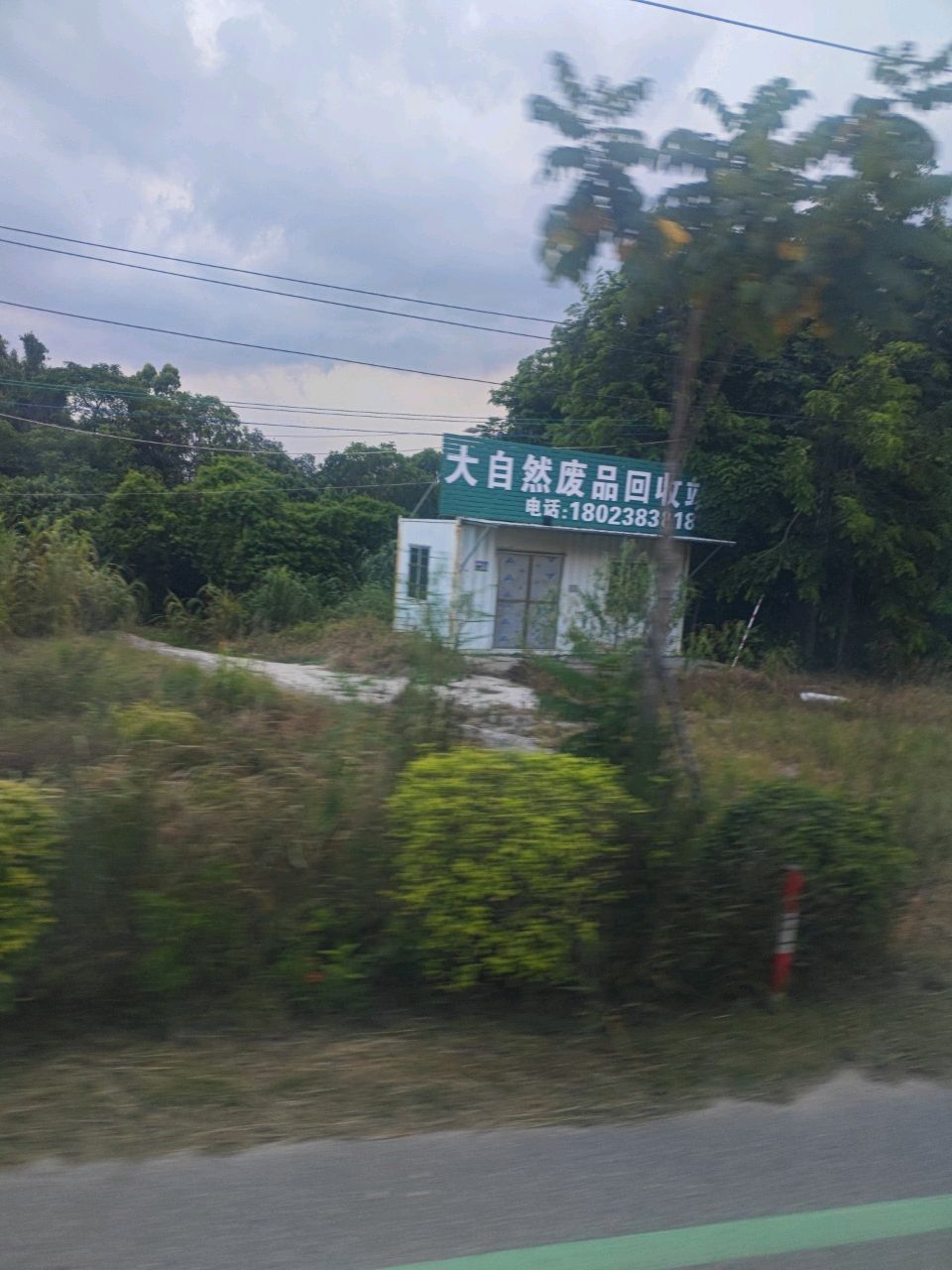 大自然废品回收站