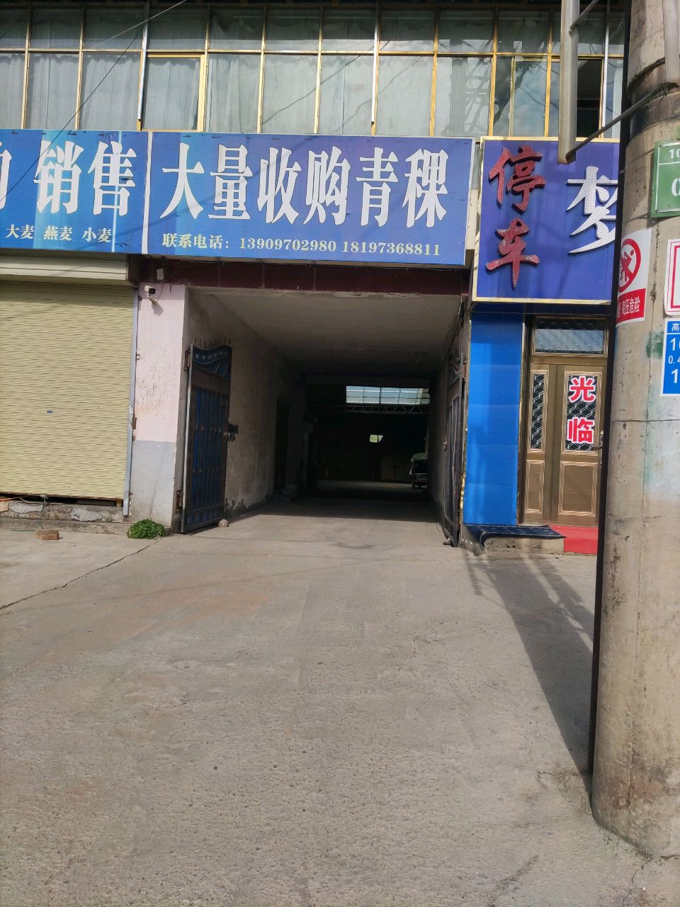 收购销售青稞油菜籽