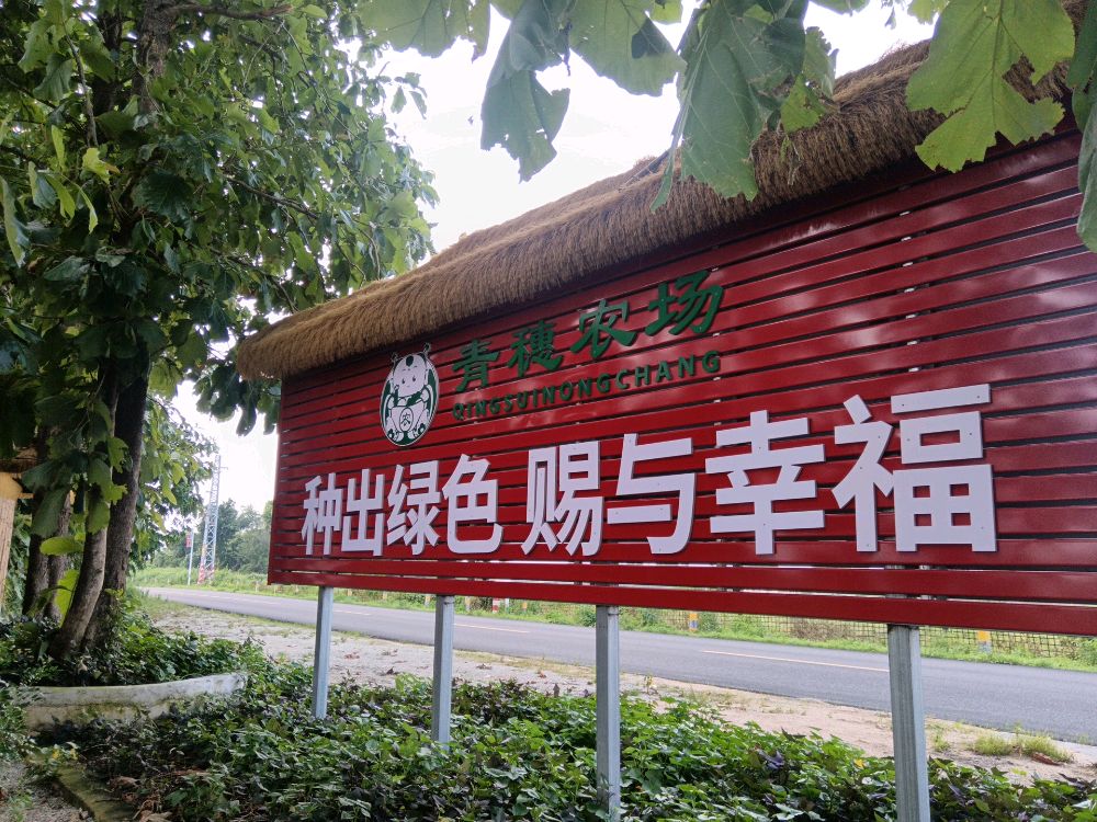 汕尾市青穗农业农场