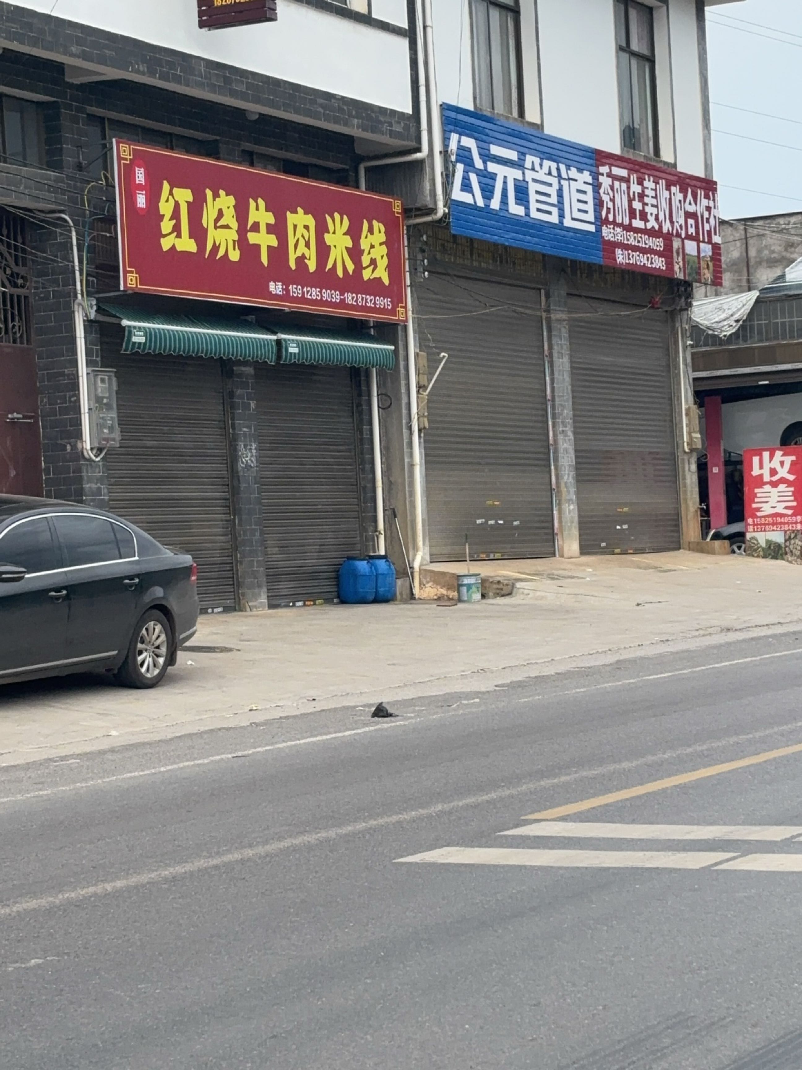 秀丽生姜收购合作社