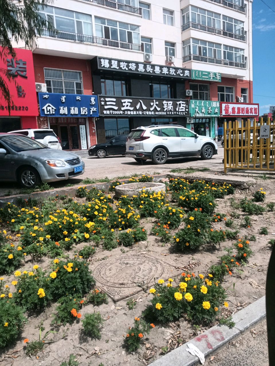 锡盟牧场黑头羔羊放心肉