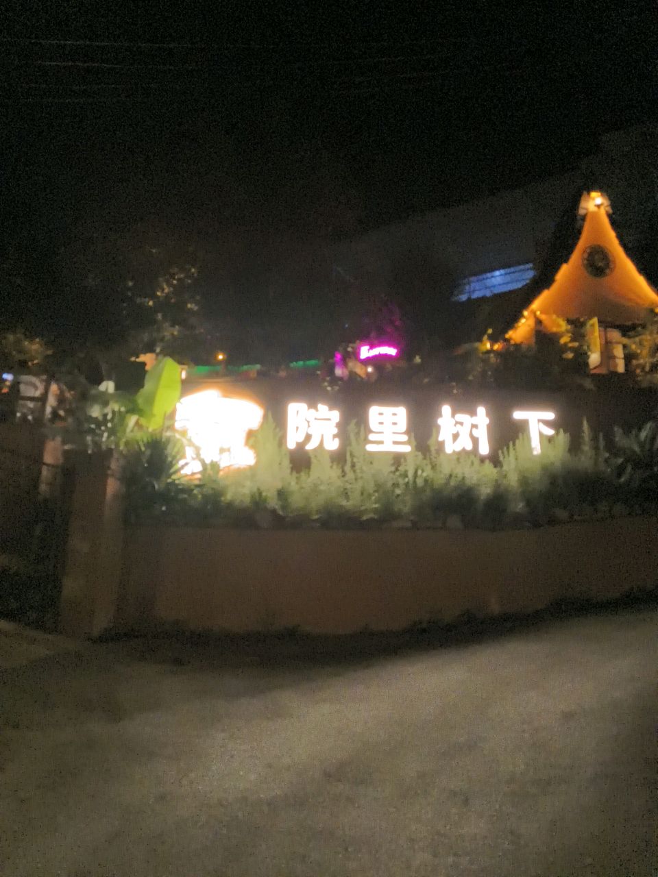 院里树下