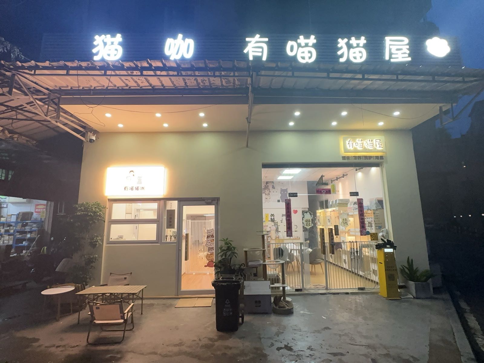 东莞有喵宠物市场猫舍犬舍购宠基地