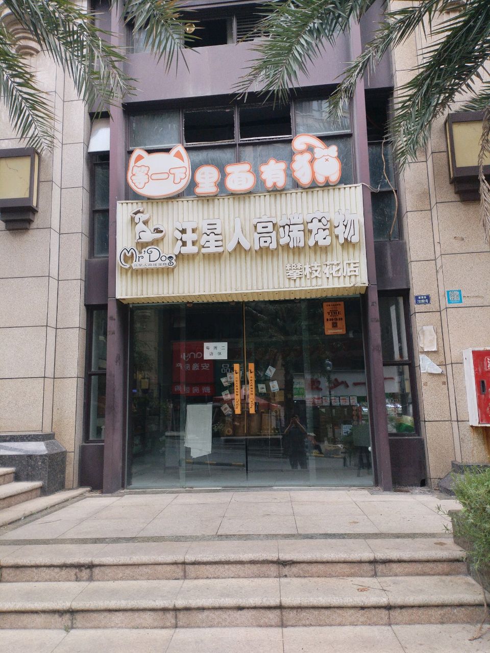 汪星人高端宠物(攀枝花店)