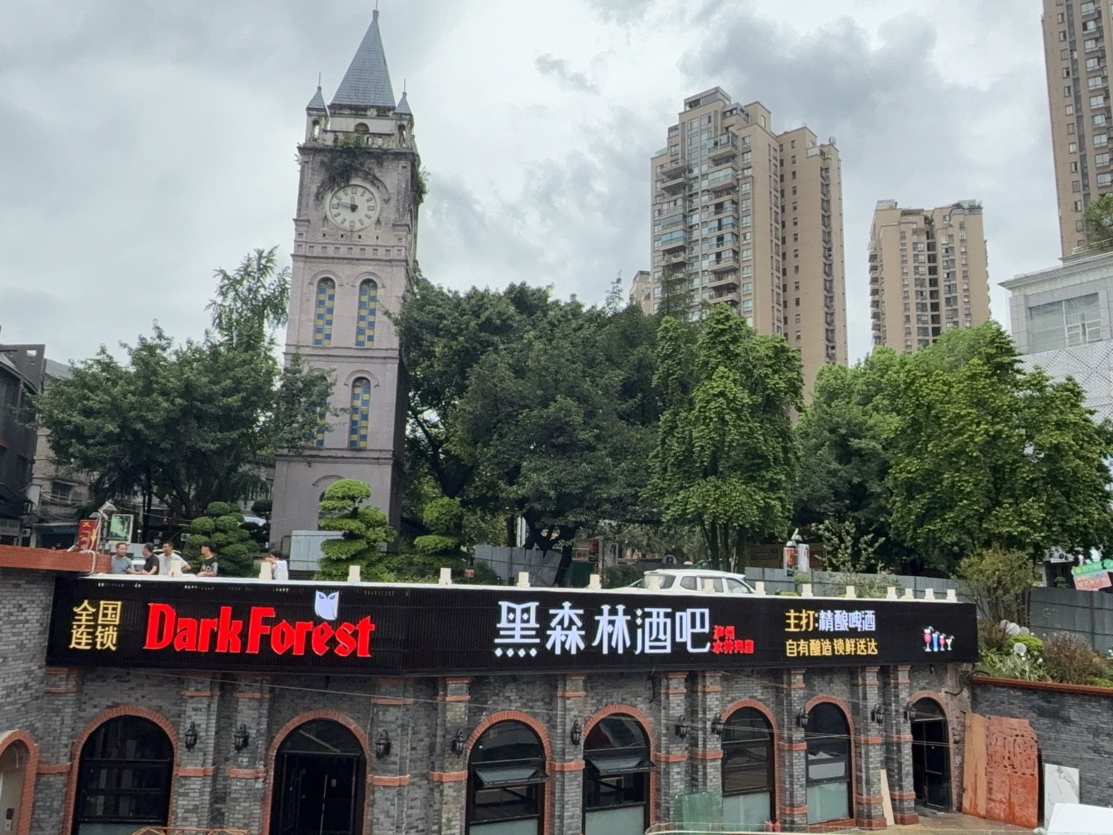 DarkForest