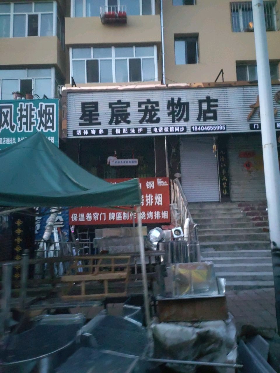 星宸宠物店