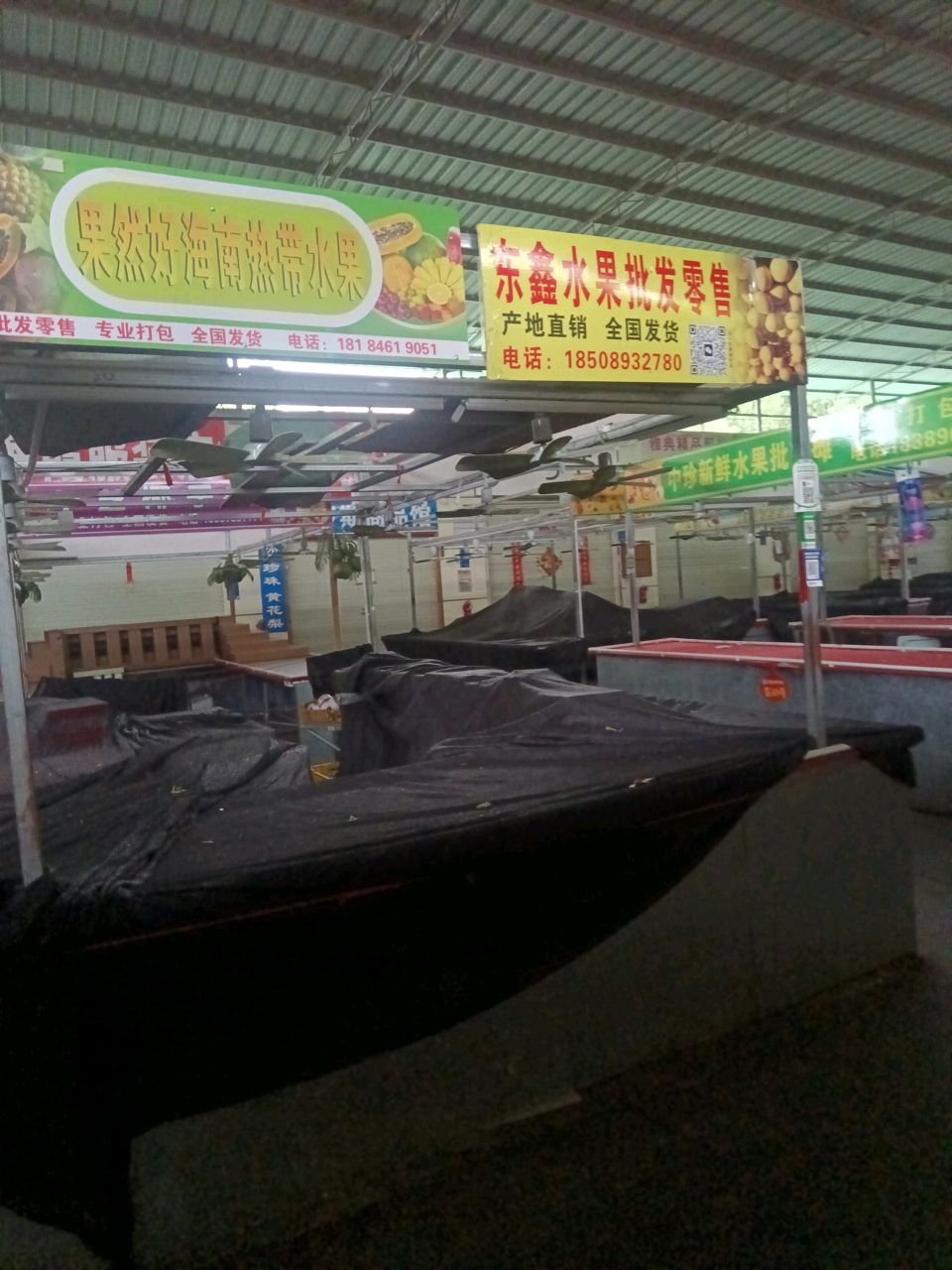 东鑫水果批发零售