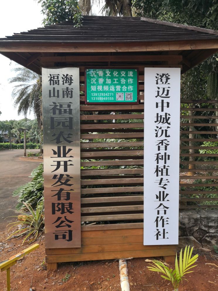 硒岛沉香咖啡庄园