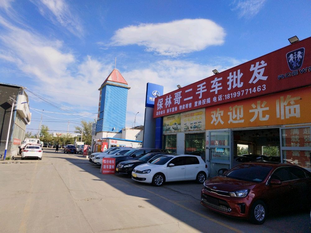 保林哥二手车批发-新车综合展厅