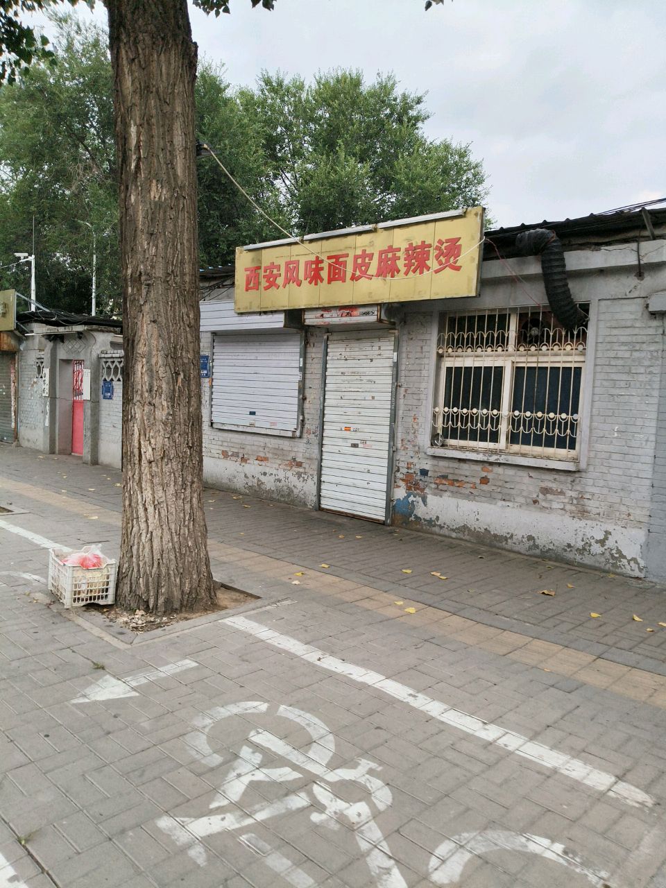 西安风味面皮麻辣烫