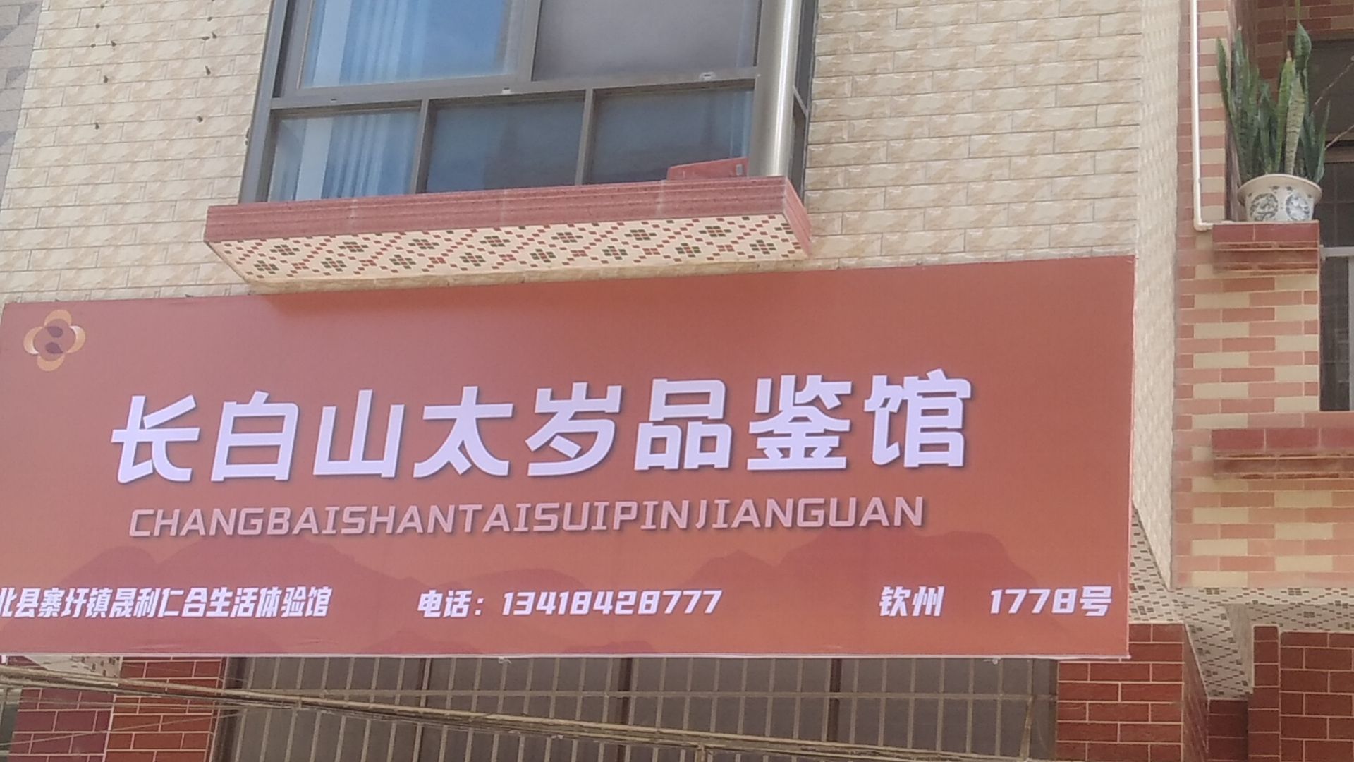 长白山太岁品鉴馆(钦州店)