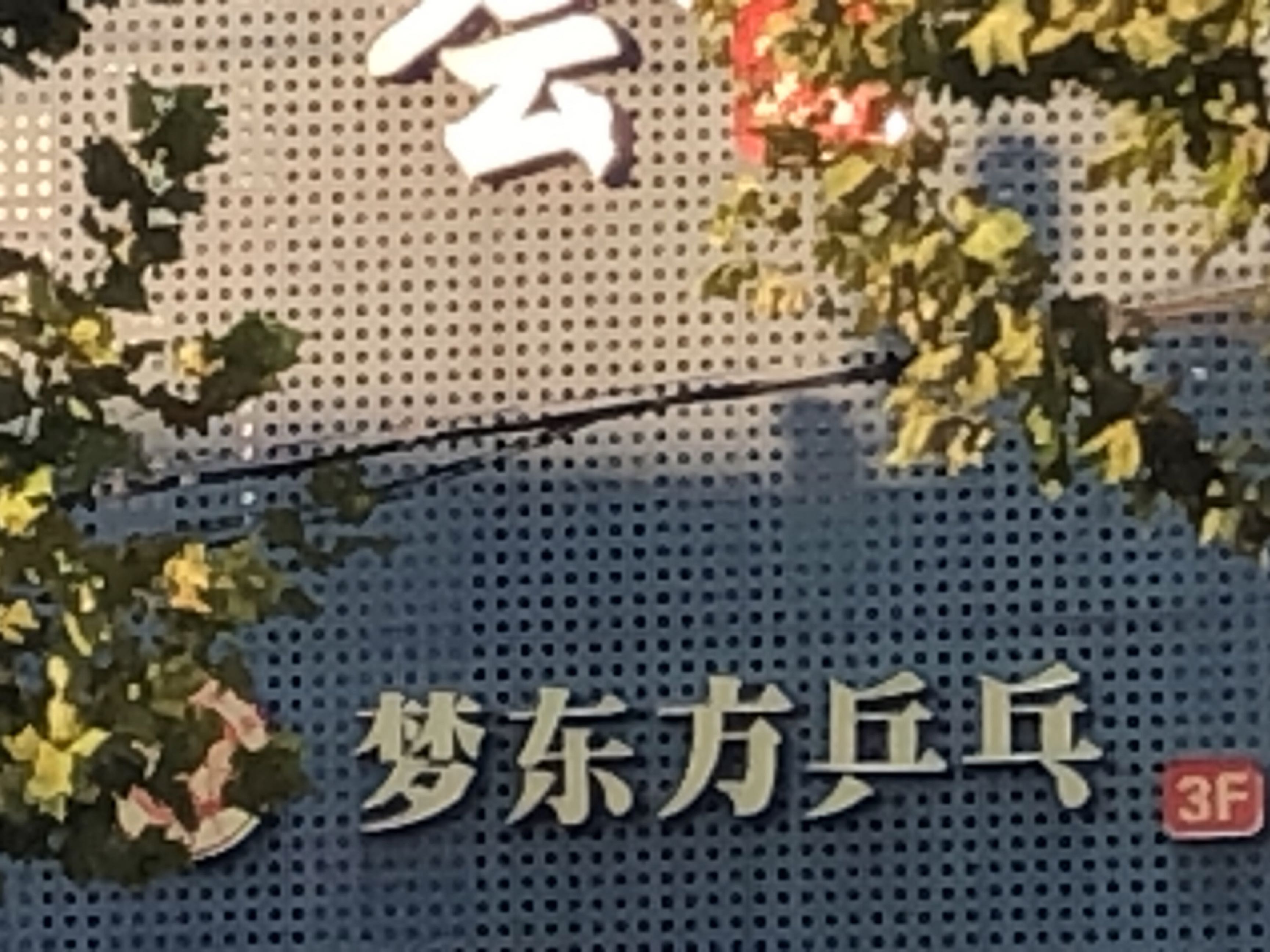 梦东方乒乓(合川路店)