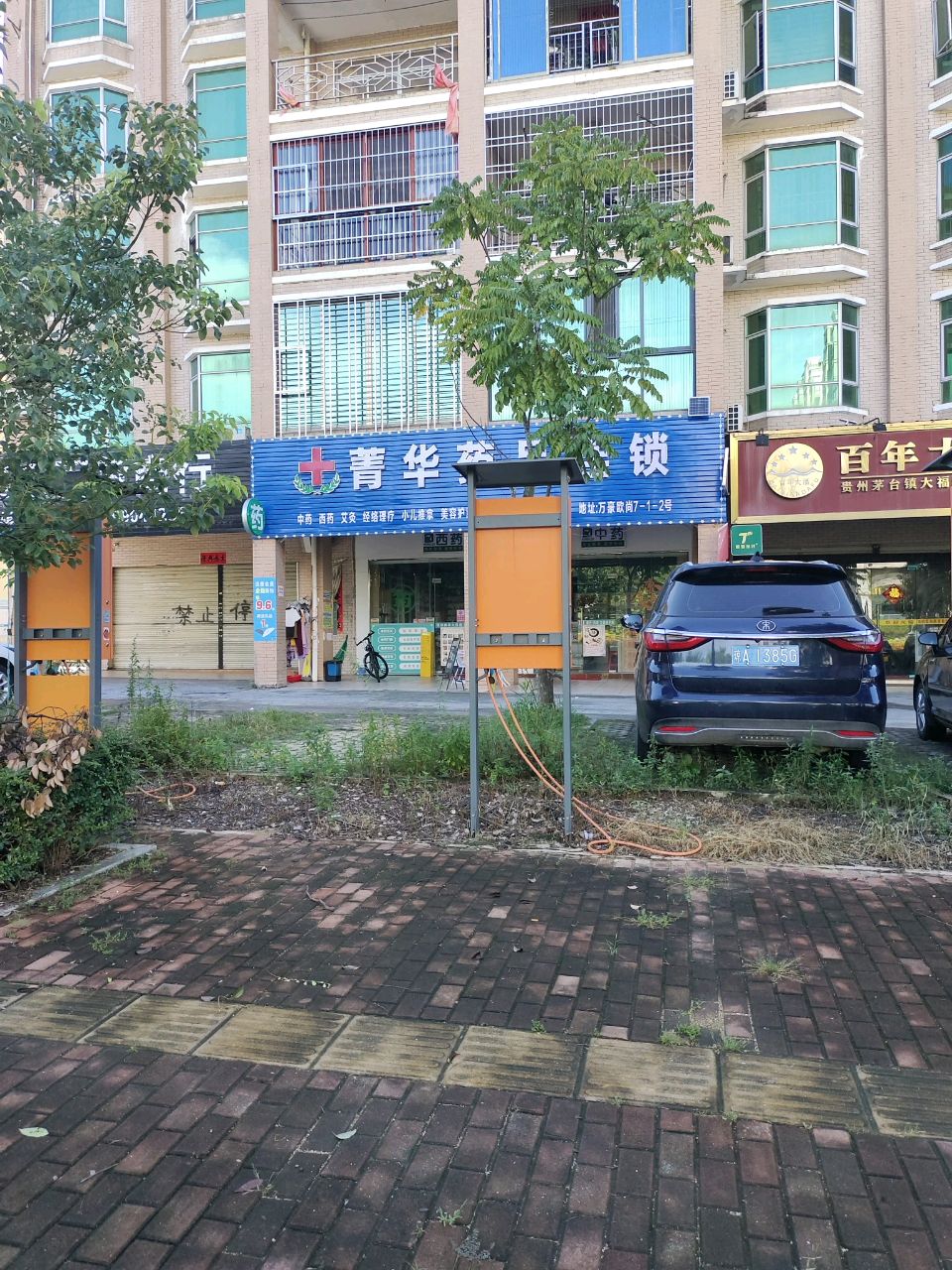 菁华药品连锁(康莱大药房东坡学校外)